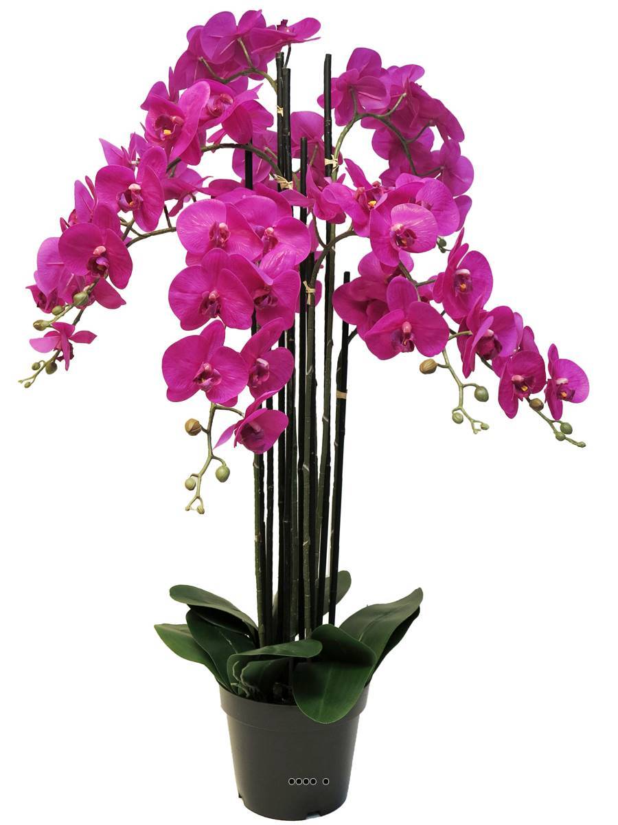 Artificielles - Orchidée Phalaenopsis factice top qualité, pot H110cm Rose fushia-BEST - dimhaut: H 110 cm - couleur: Rose fushia 730 - Imagen 2
