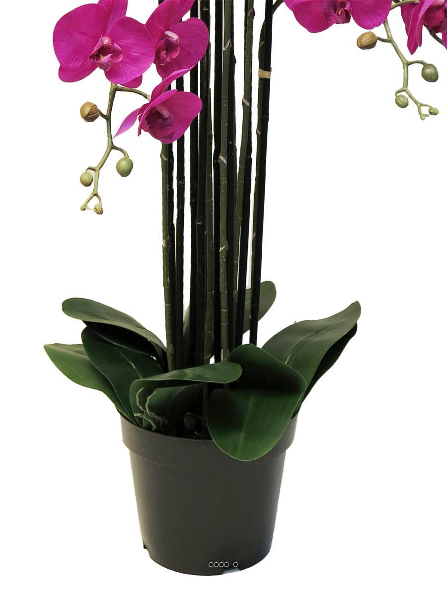 Artificielles - Orchidée Phalaenopsis factice top qualité, pot H110cm Rose fushia-BEST - dimhaut: H 110 cm - couleur: Rose fushia 730 - Imagen 4