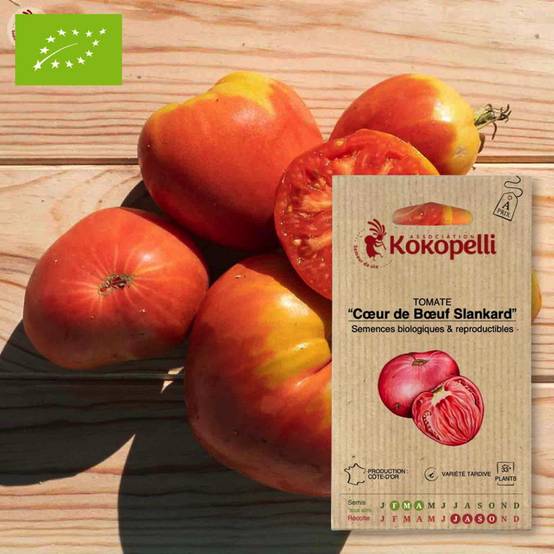 Tomate Cœur de Bœuf Slankard- Graines bio à semer - Image 1