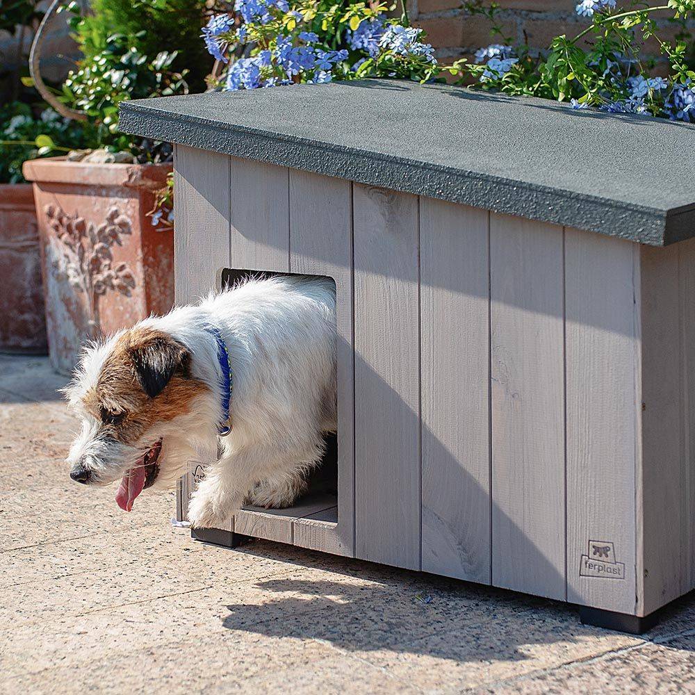 Ferplast - Ferplast - Argo 60 Niche Pour Chien En Bois De Pin Nordique L 57,5 X L 39 X H 46 Cm - Imagen 4