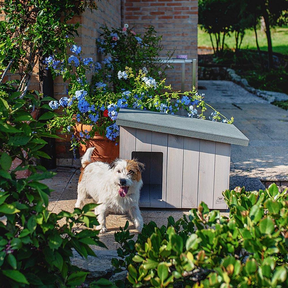 Ferplast - Ferplast - Argo 60 Niche Pour Chien En Bois De Pin Nordique L 57,5 X L 39 X H 46 Cm - Imagen 5