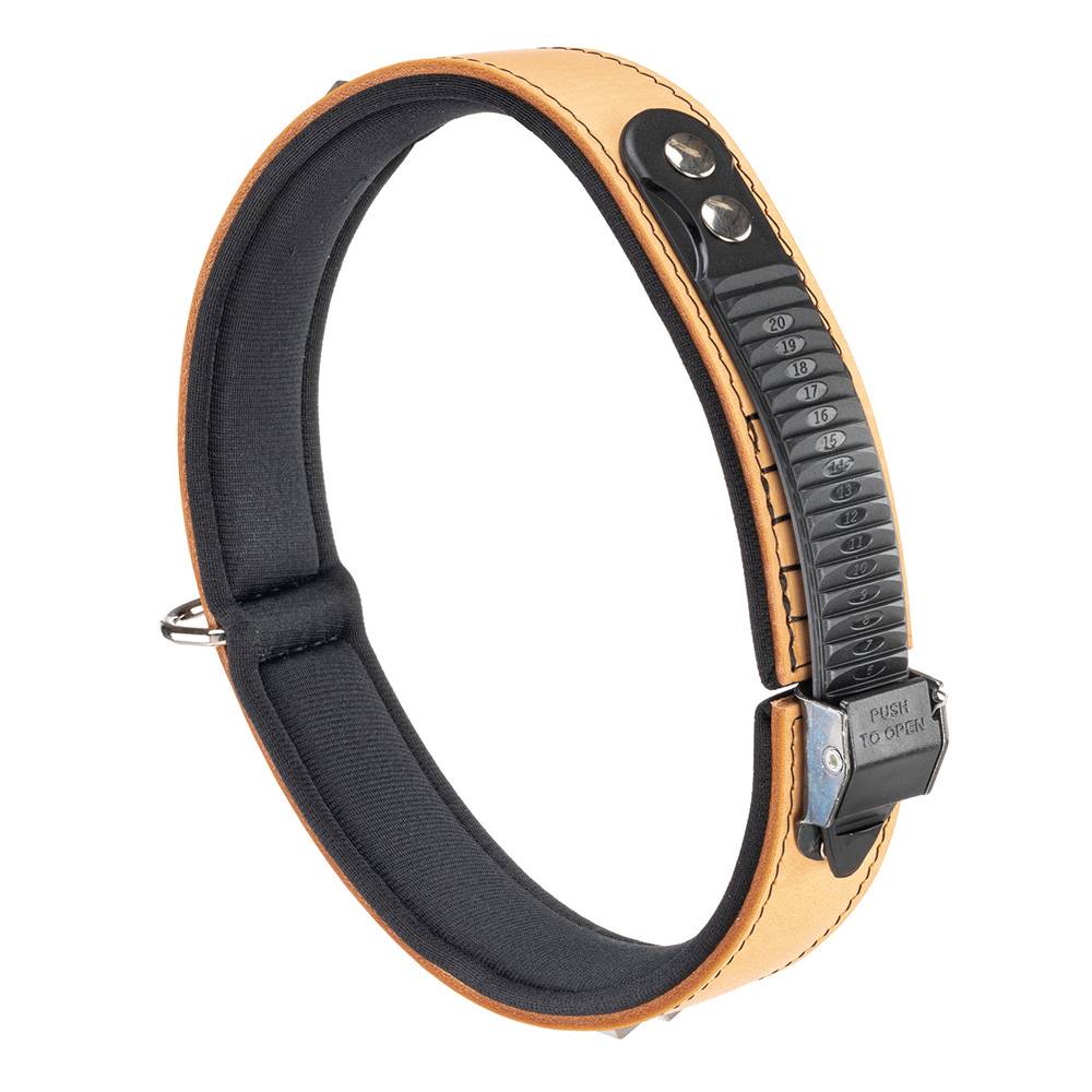 Ferplast - Collier pour Chiens GIOTTO LUXOR C30/58, en Cuir Véritable avec Clous Argentés - Imagen 3