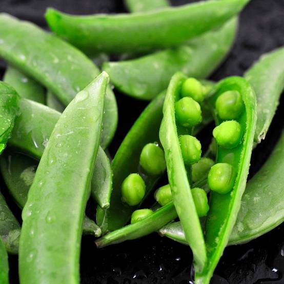 Promesse de Fleurs - Pois nain Merveille de Kelvedon BIO le sachet de 400 graines environ (75g)