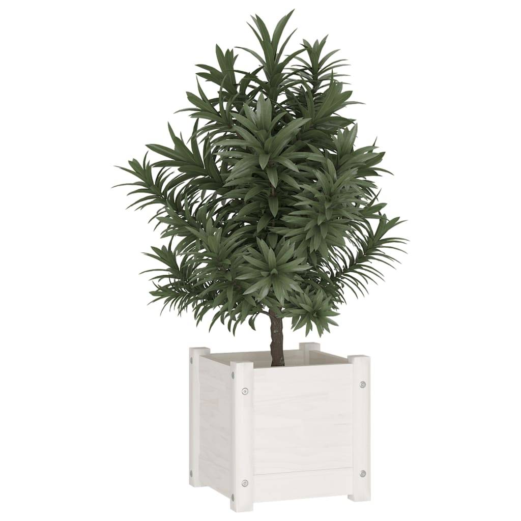 Vidaxl - Jardinière d'extérieur Blanc 31x31x31 cm Bois de pin massif vidaXL 810524 - Image 4