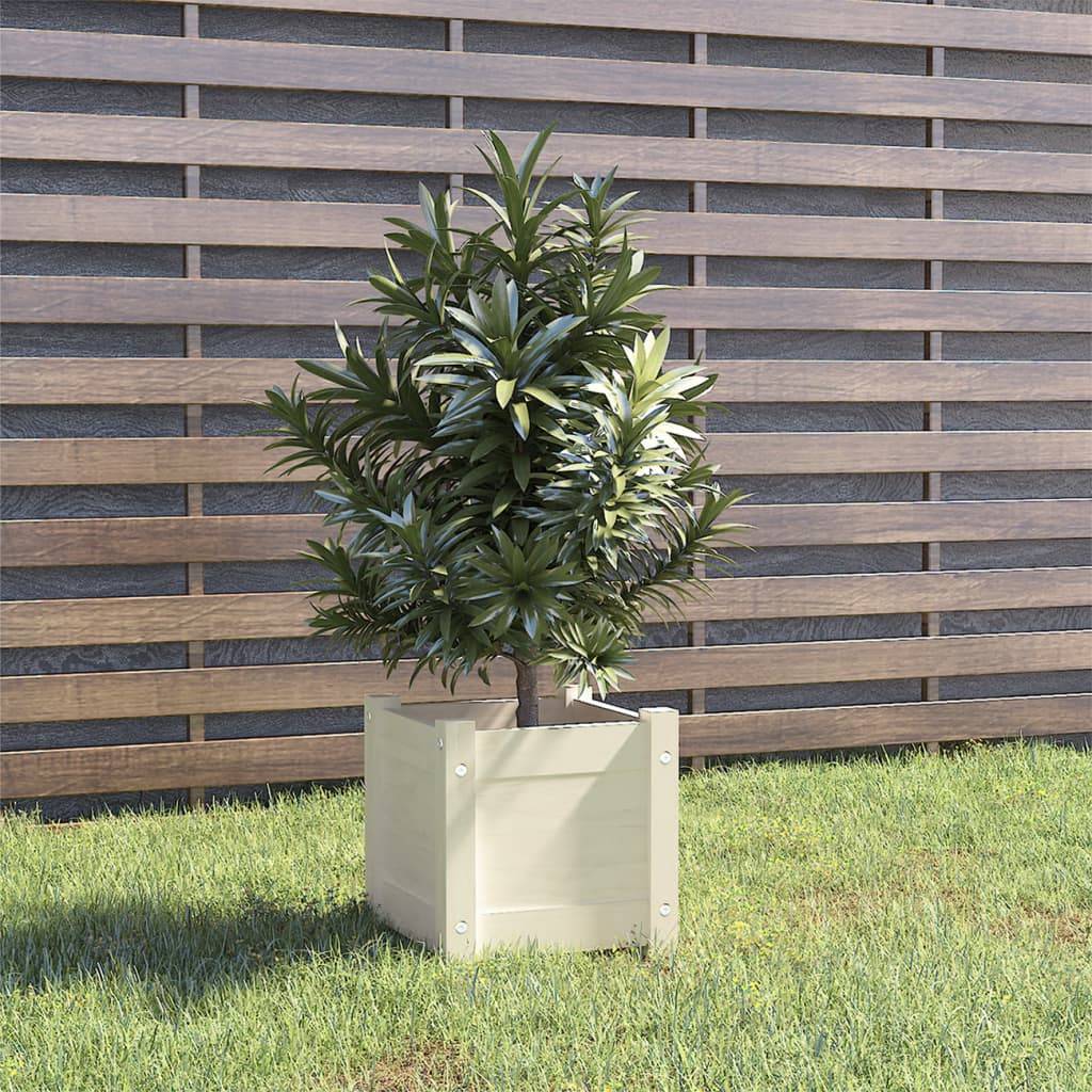Vidaxl - Jardinière d'extérieur Blanc 31x31x31 cm Bois de pin massif vidaXL 810524 - Image 1