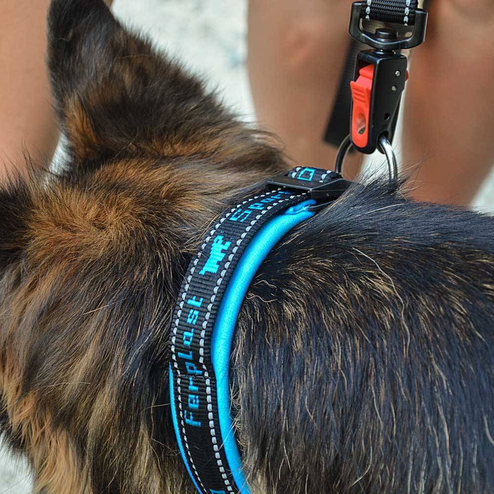 Ferplast - Ferplast Collier Chien SPORT DOG, Collier pour Chien de Taille Grande, Rembourrage Doux, Coutures réfléchissantes, Étiquette pour le nom de l'animal, - Imagen 3