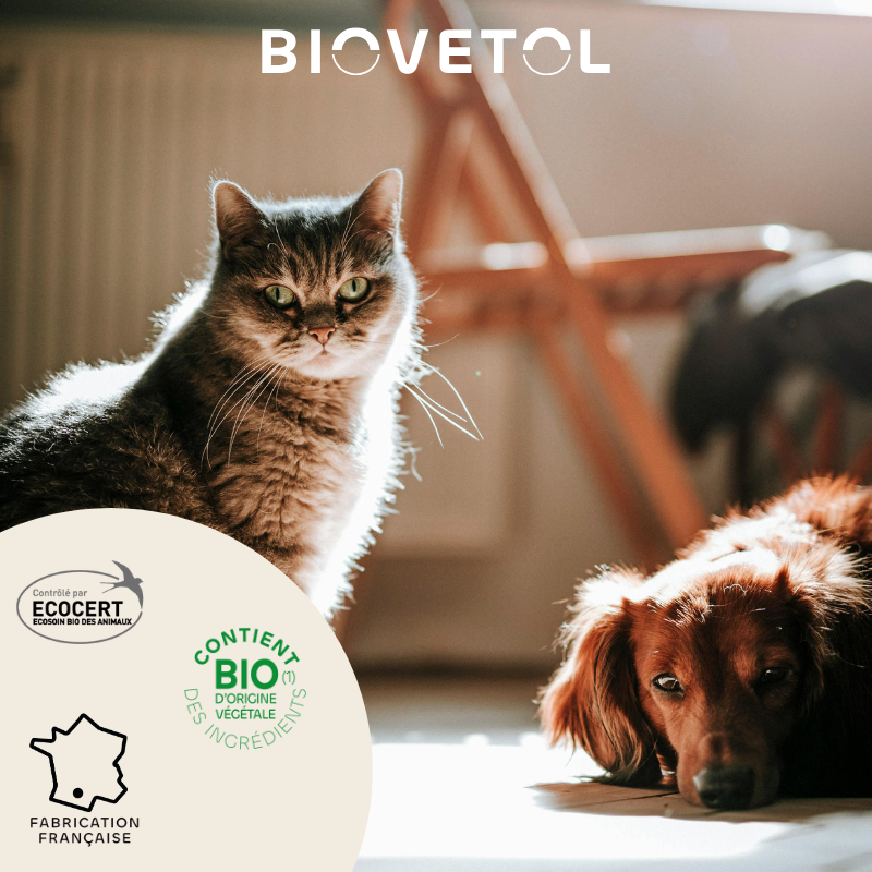 Biovetol - Shampoing Anti-Insectes Bio (recharge écologique) - Imagen 4