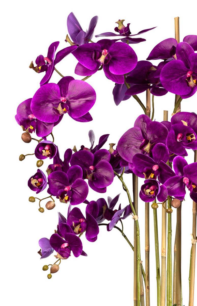 Artificielles - Orchidée Factice 7 hampes vase résine noir H105cm D75cm Mauve violet - couleur: Mauve violet - Imagen 3