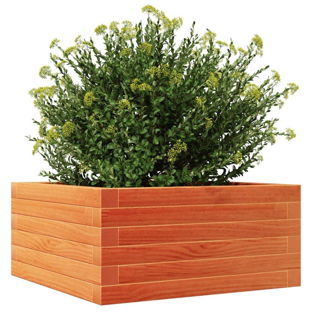 Jardinière bois pin massif cire marron 50 x 50 x 23 cm - PANGIVO - Image 4