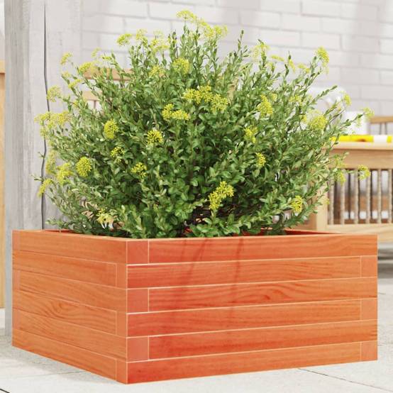 Jardinière bois pin massif cire marron 50 x 50 x 23 cm - PANGIVO - Image 1