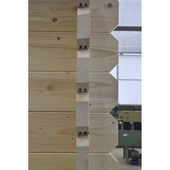 Altanka - Abri de jardin en bois - 30m2 - 6x5m - Ep. 40mm - Couleur: naturel - DOM748 - ALTANKA - Image 6