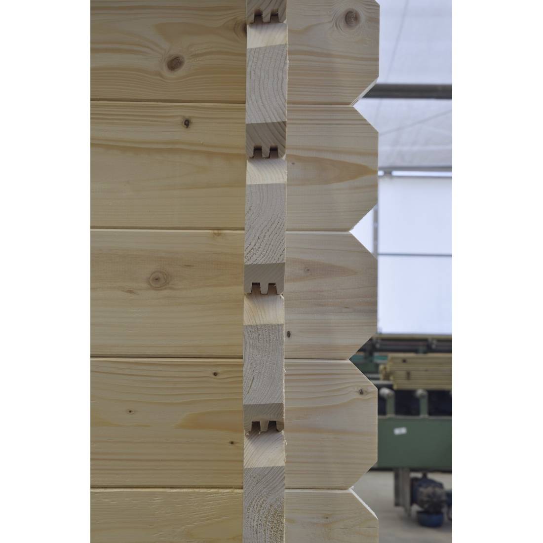 Altanka - Abri de jardin en bois - 30m2 - 6x5m - Ep. 40mm - Couleur: naturel - DOM748 - ALTANKA - Image 6