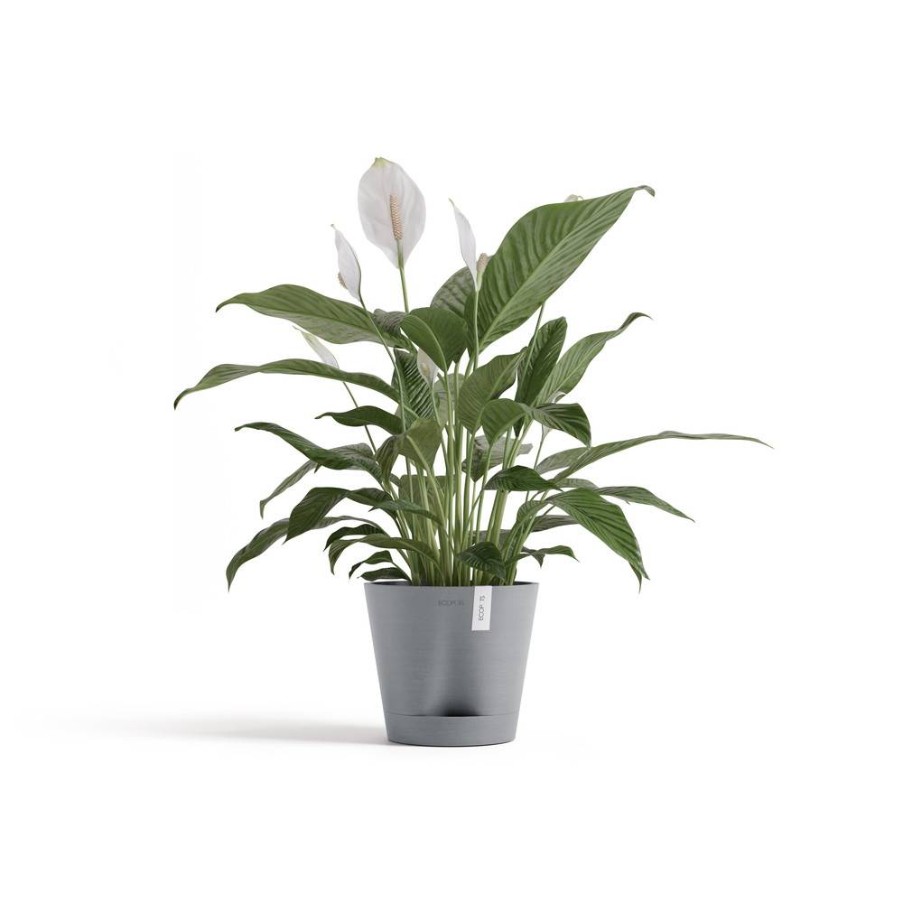 Ecopots - Pot Rond Venice 2 Bleu Gris + réservoir d'eau - Ø 20 x H. 17,5 cm - 4 L ECOPOTS