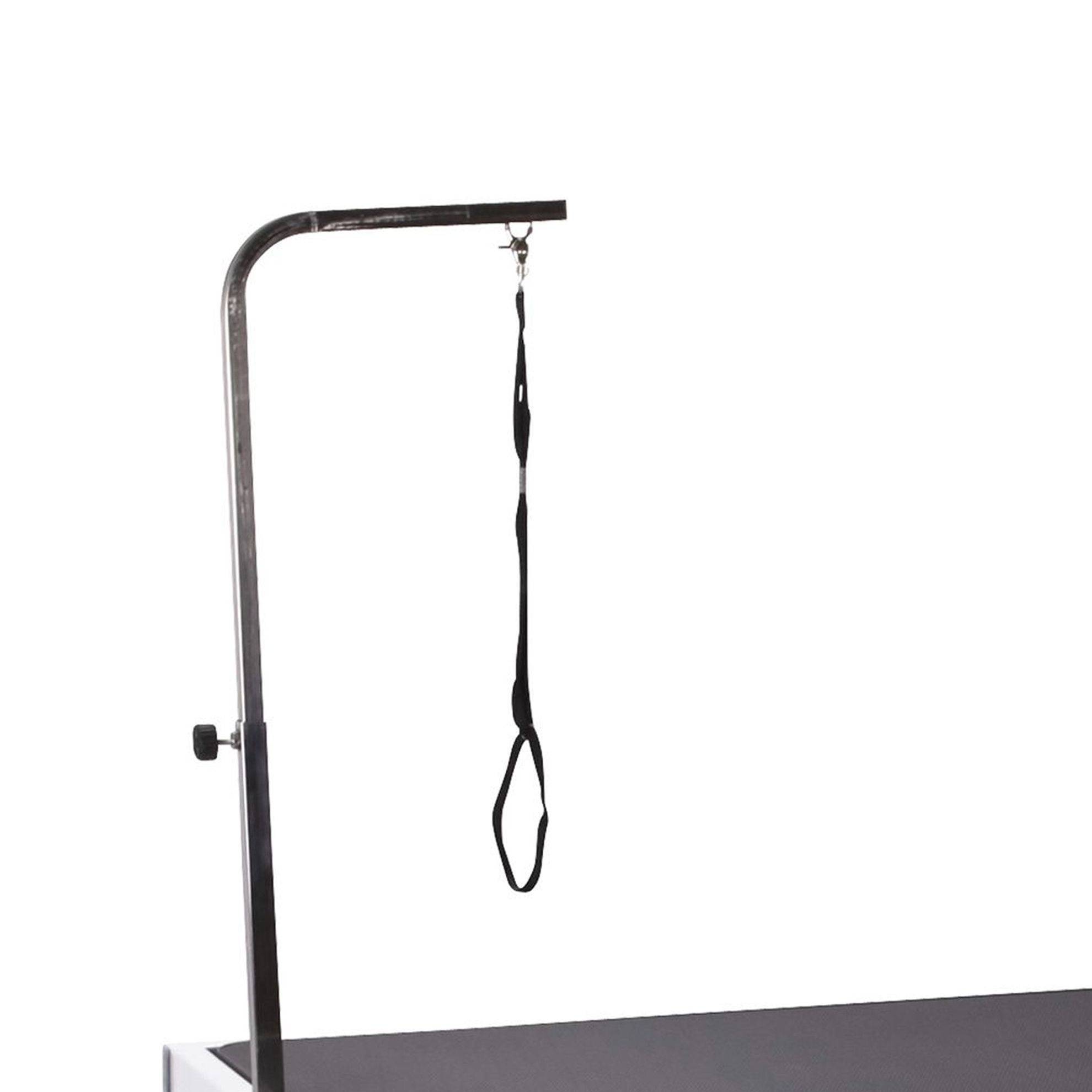 Phoenix Universal - Potence simple pour Table toilettage Pluton PHOENIX UNIVERSAL