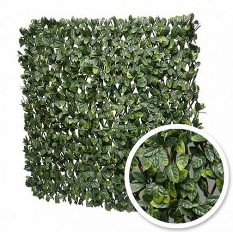 James Grass - France Green - Treillis extensible feuilles de laurier amande - Long 14 m, Hauteur 3 m - Imagen 1
