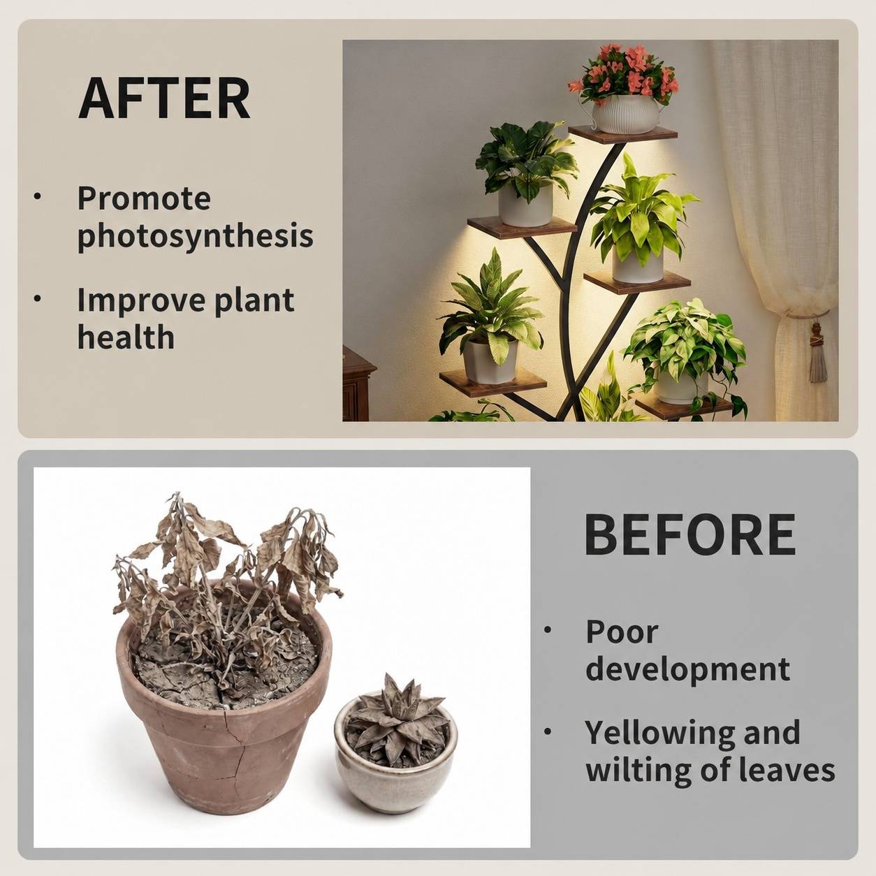 Support à Plantes 8 Niveaux Lampe Culture Spectrum Complet Minuterie Espace Rangement Stable - Image 3
