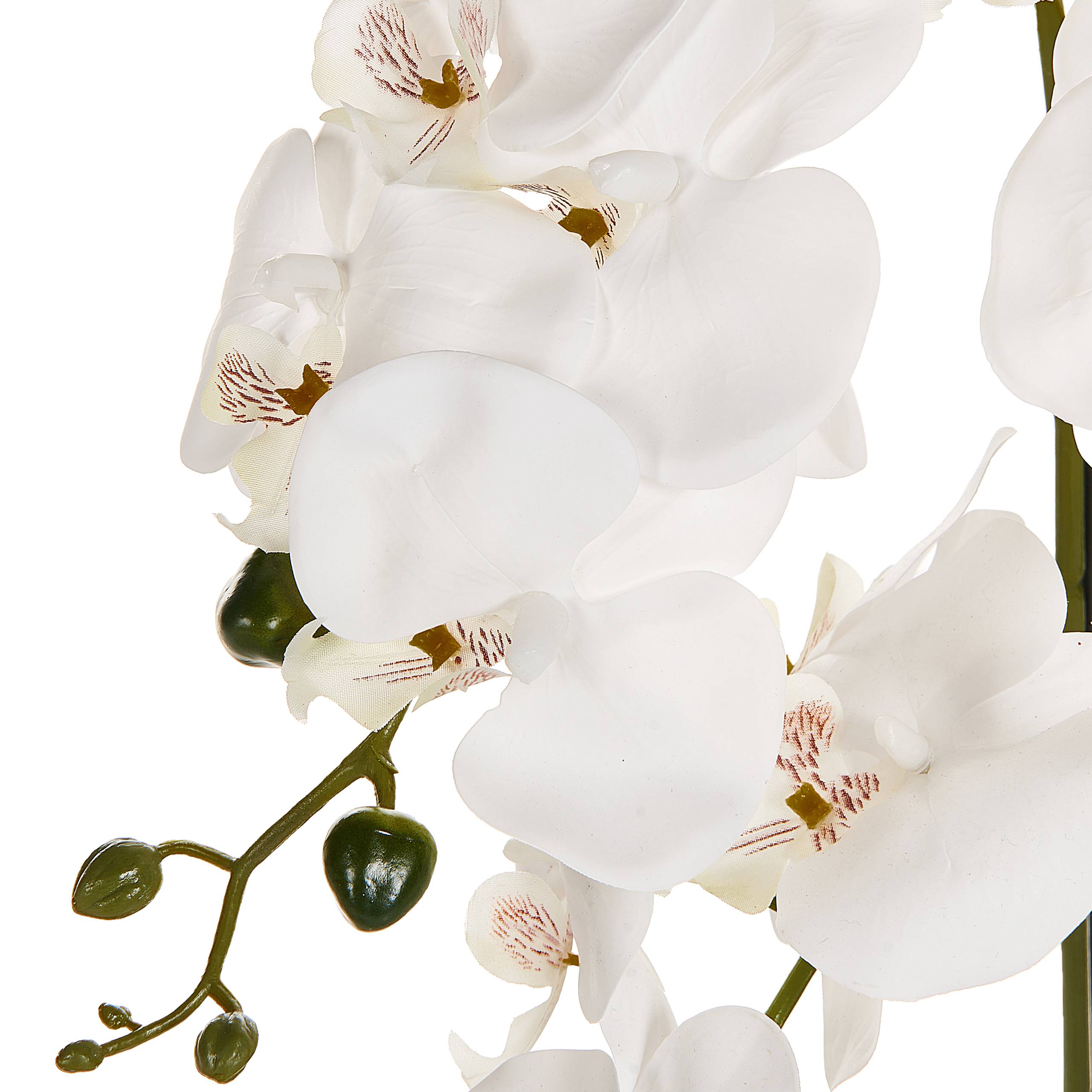 Beliani - Plante artificielle Matière synthétique Blanc ORCHID - 35x35x65- Beliani - Image 4