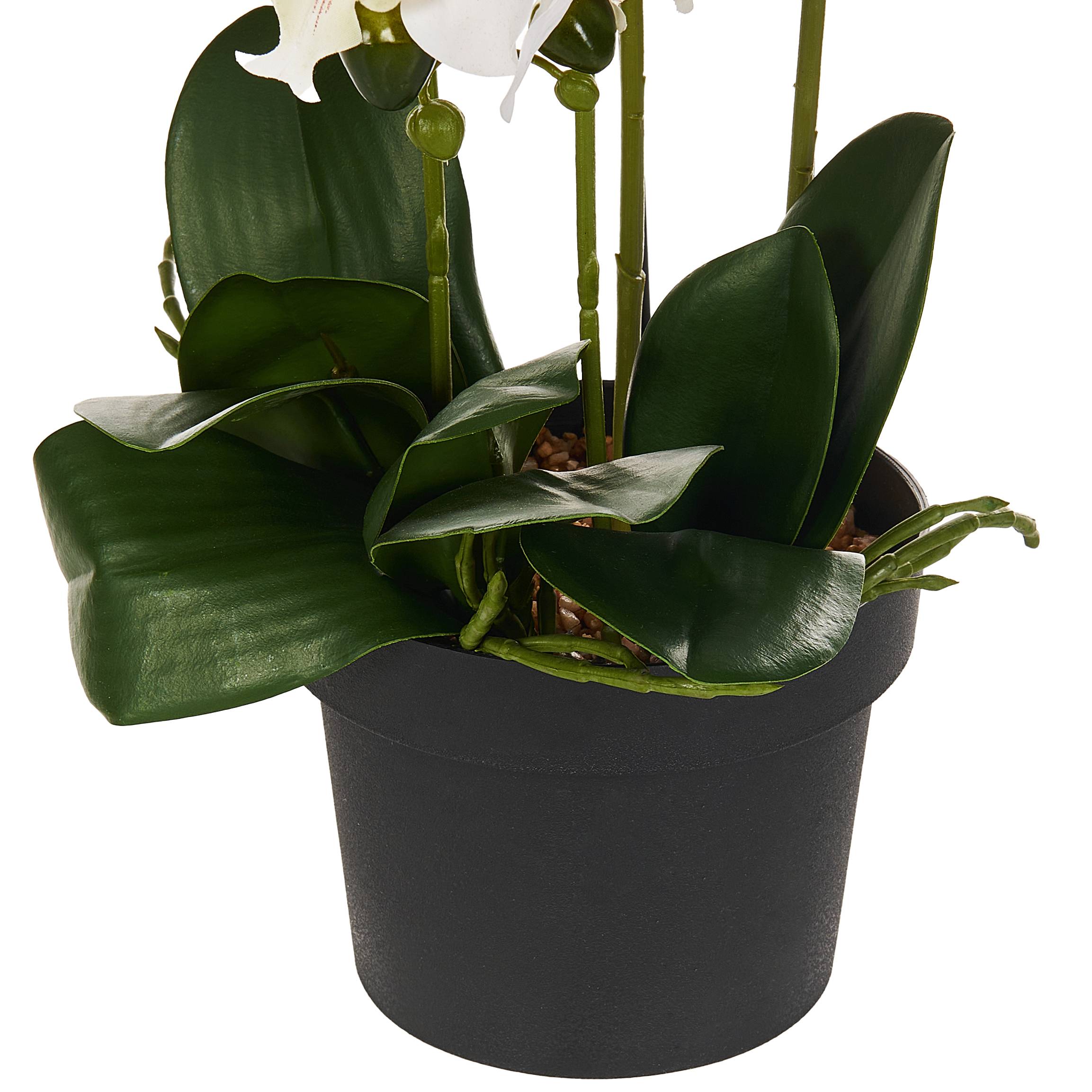 Beliani - Plante artificielle Matière synthétique Blanc ORCHID - 35x35x65- Beliani - Image 5