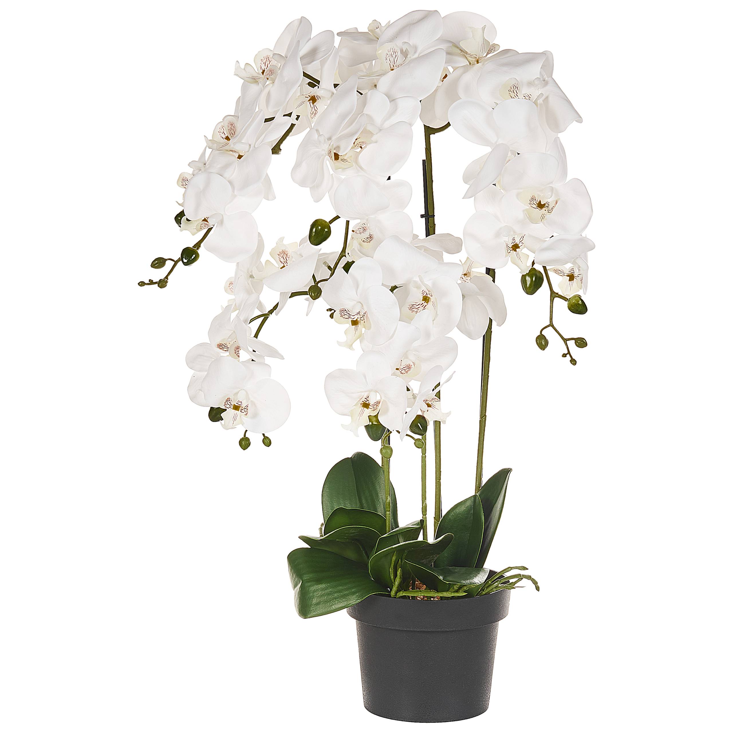Beliani - Plante artificielle Matière synthétique Blanc ORCHID - 35x35x65- Beliani - Image 2