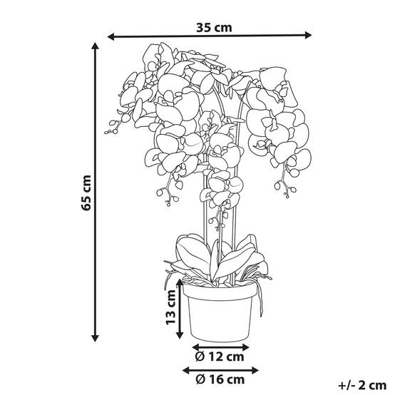 Beliani - Plante artificielle Matière synthétique Blanc ORCHID - 35x35x65- Beliani - Image 3