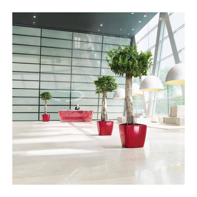 Lechuza - Pot De Fleur - Lec - Quadro Premium Ls 50 - Blanc Brillant - Systeme D'irrigation Intégré - Imagen 5