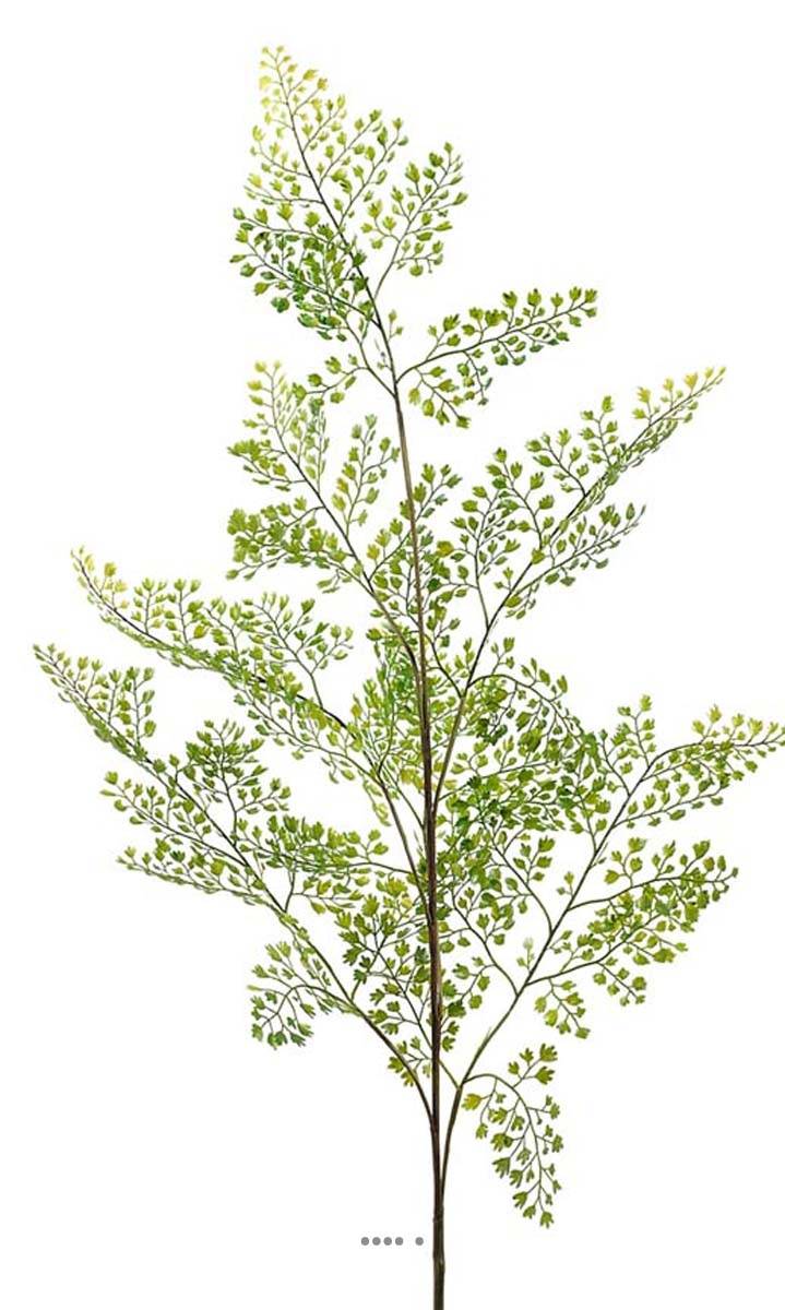 Artificielles - Adiantum artificiel en branche H 140 cm Superbe