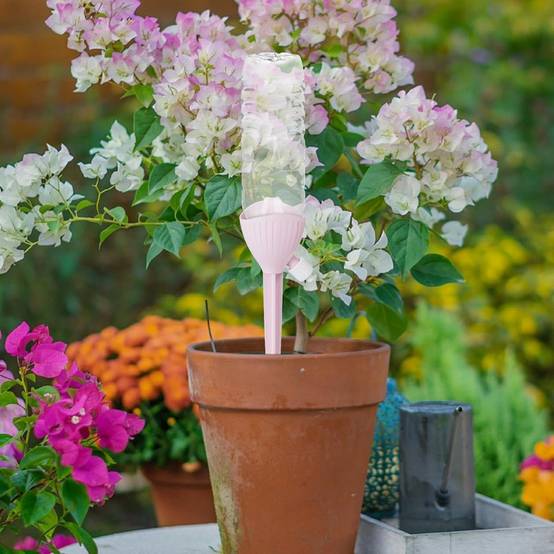 Dispositif d'arrosage automatique rose - IntiMeg - Imagen 5