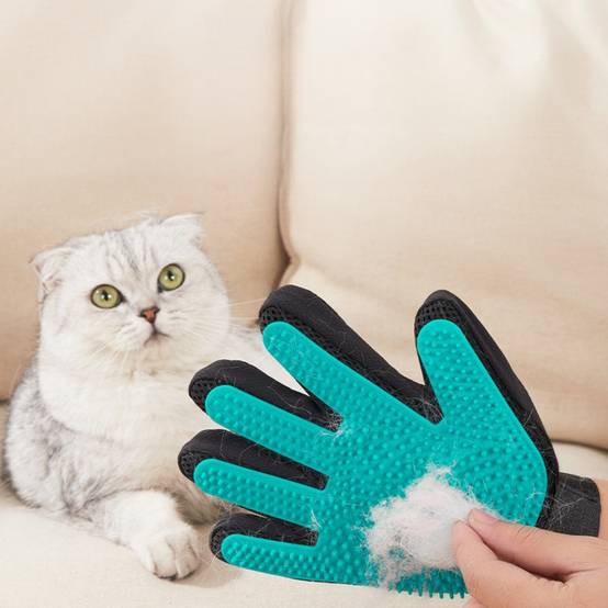 Gant toilettage 4 en 1 – Soin facile pour animaux DtopbuyAge - Image 3