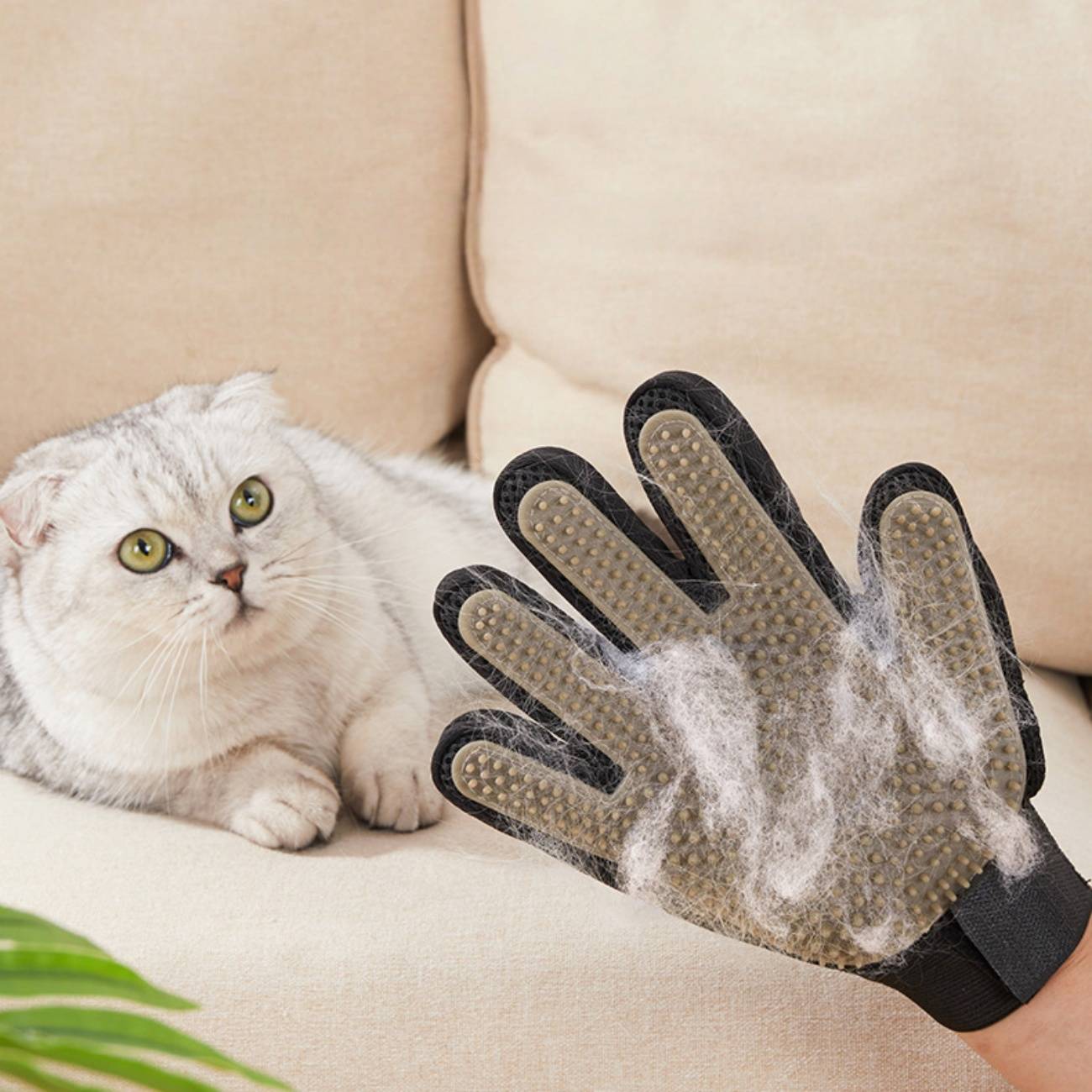 Gant toilettage 4 en 1 – Soin facile pour animaux  DtopbuyAge - Image 5