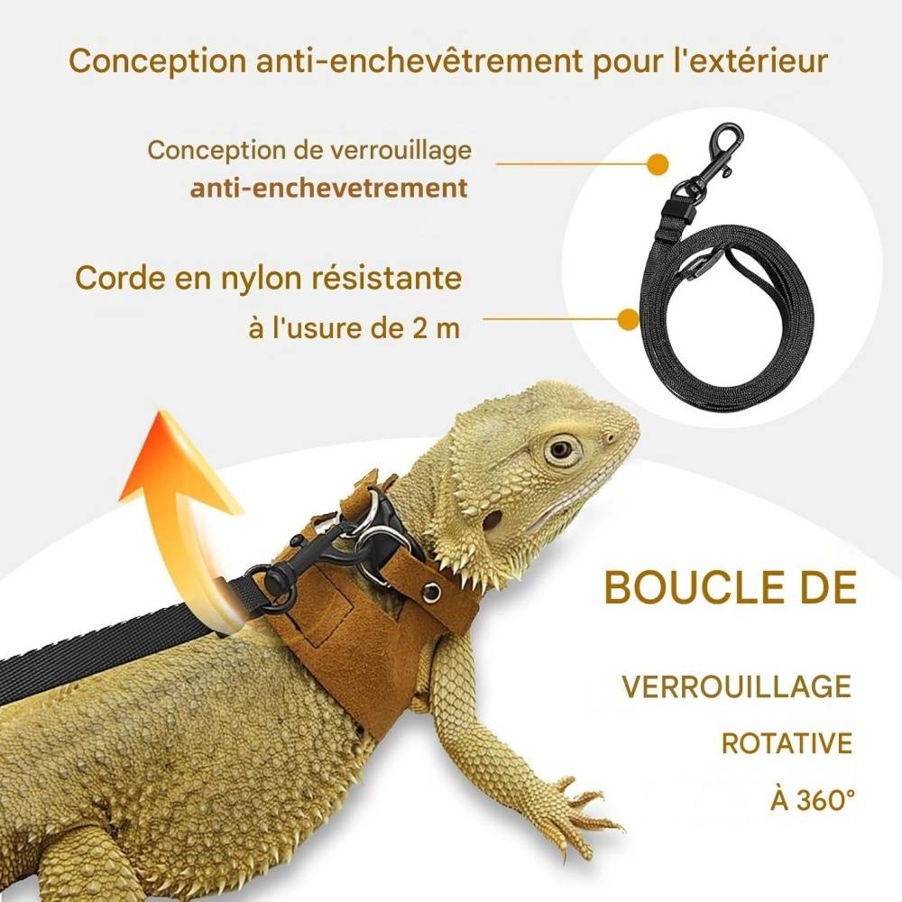 Ensemble harnais et laisse pour petits animaux DtopbuyAge - Image 2