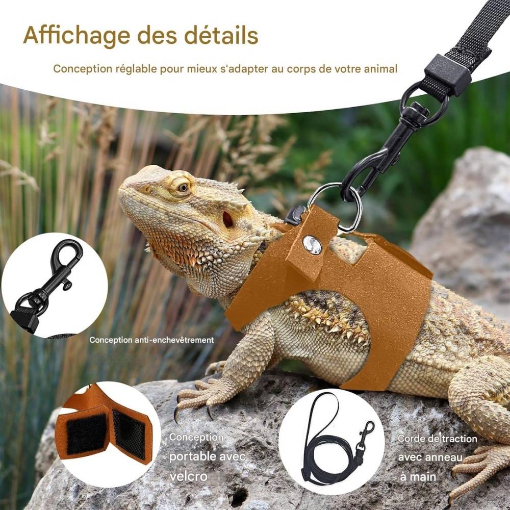 Ensemble harnais et laisse pour petits animaux DtopbuyAge - Image 3