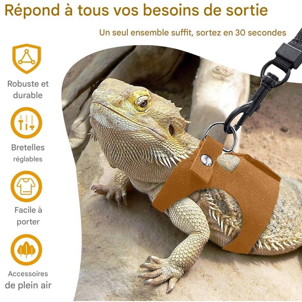 Ensemble harnais et laisse pour petits animaux DtopbuyAge - Image 4