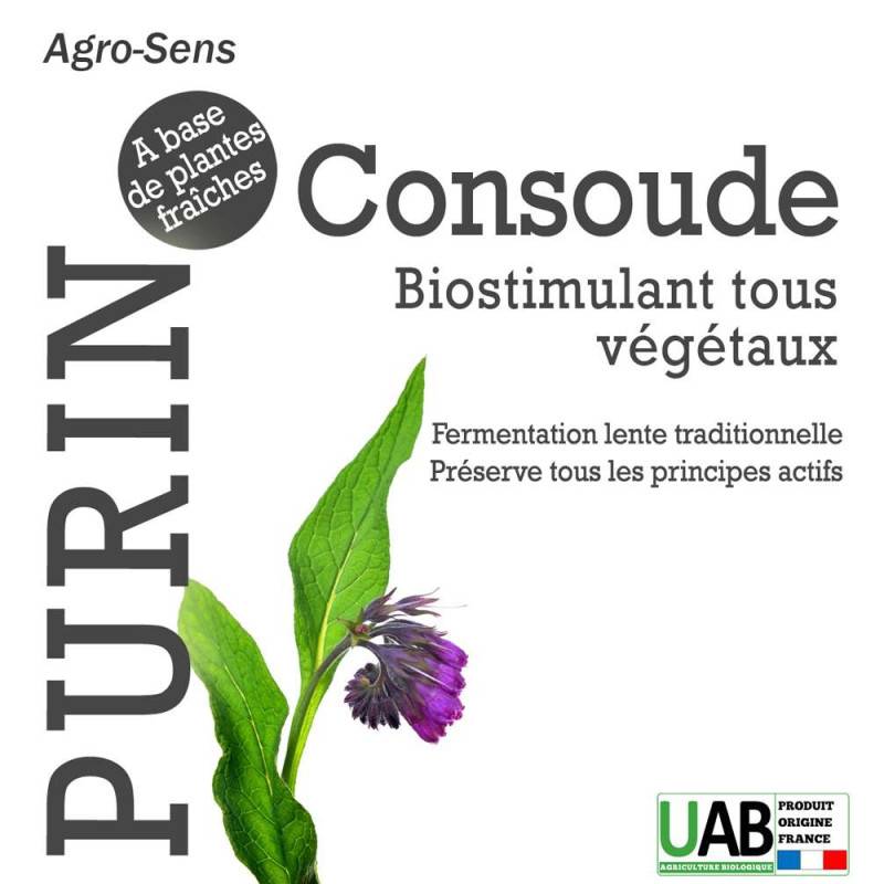 Purin de consoude - Concentré à diluer - 5 Litres - Image 5
