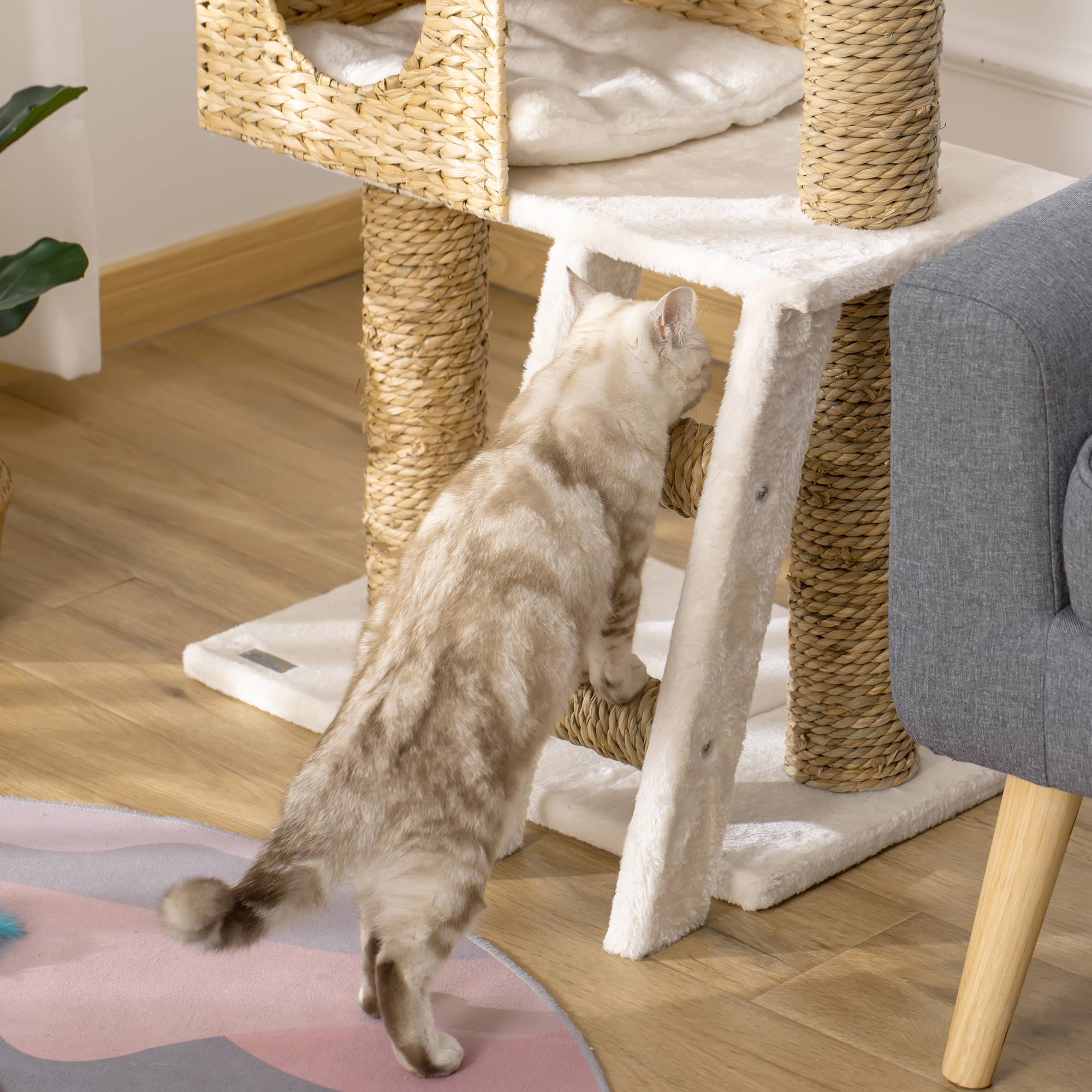 Sans Marque - Arbre à chat PawHut arbre à grimper griffoir 100,5 cm coussins échelle centre activités poteaux sisal beige - Image 9