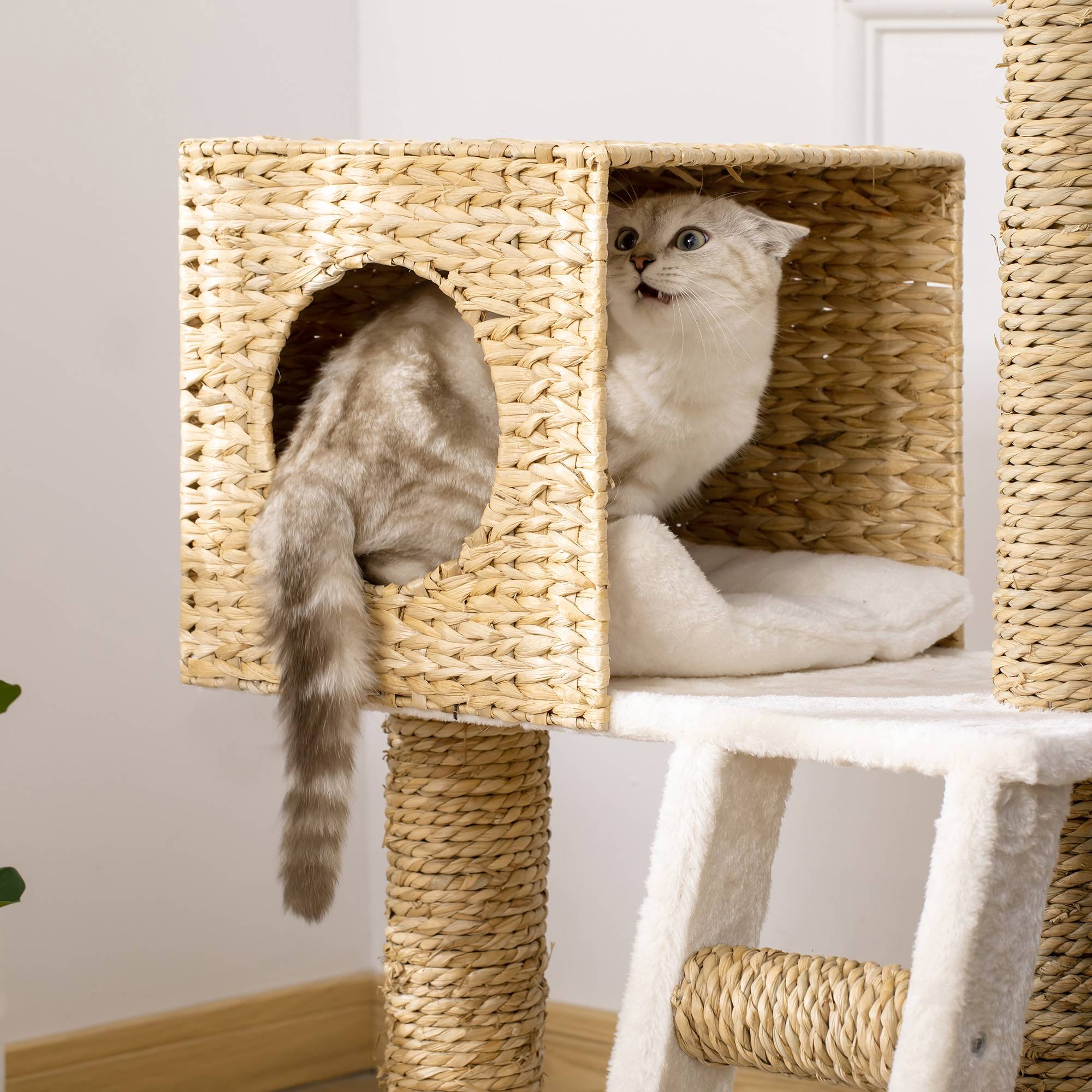 Sans Marque - Arbre à chat PawHut arbre à grimper griffoir 100,5 cm coussins échelle centre activités poteaux sisal beige - Image 10