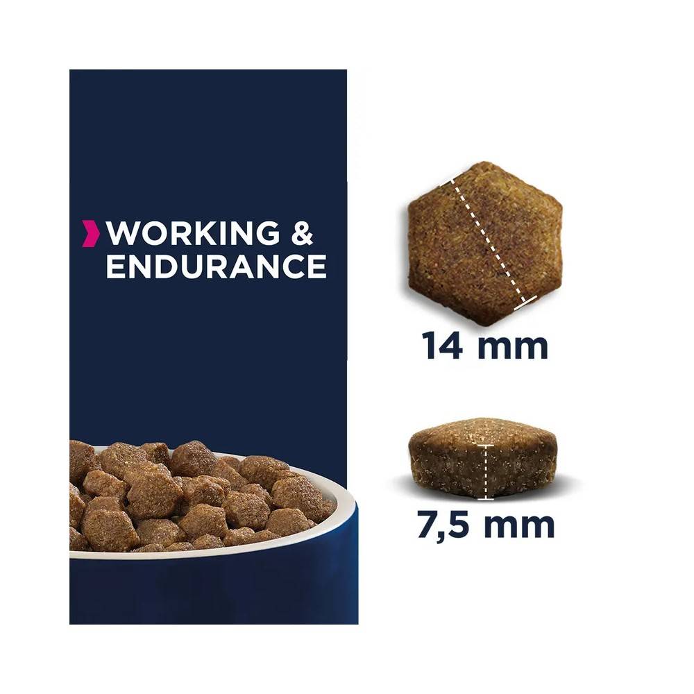 Eukanuba - Croquette Chien Adulte Working & Endurance - Eukanuba 15 kg - Image 2