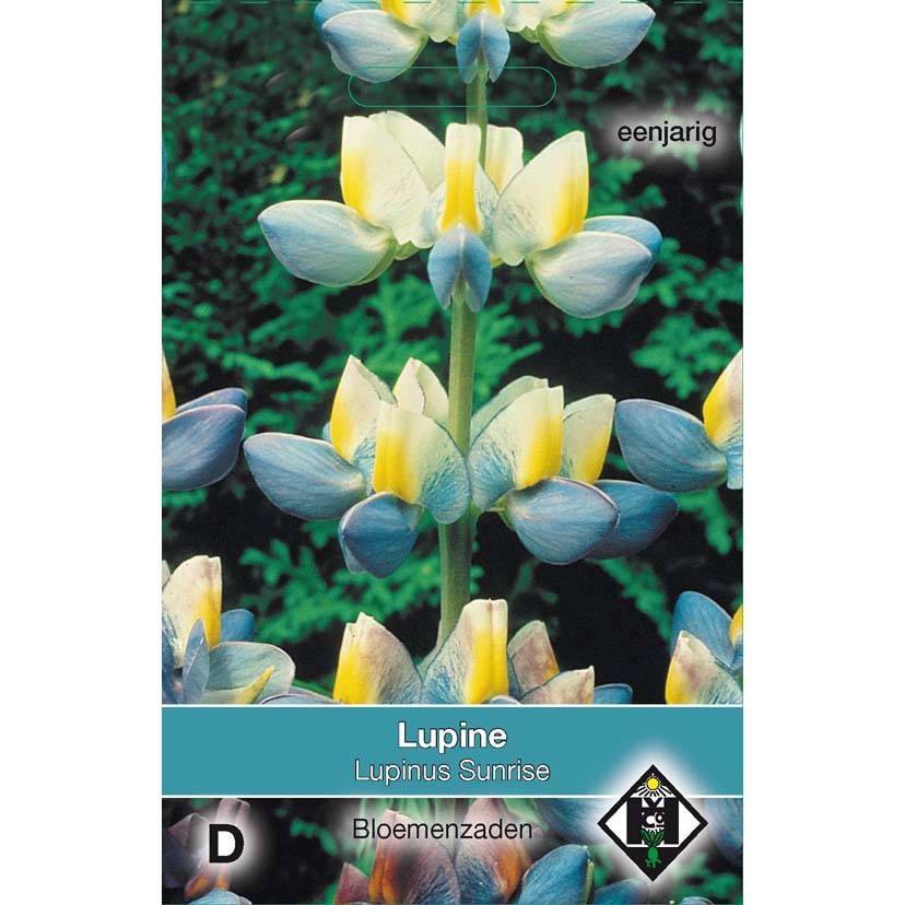 Graines de Lupin annuel cruickshankii Sunrise le sachet de 10 graines environ (2g)