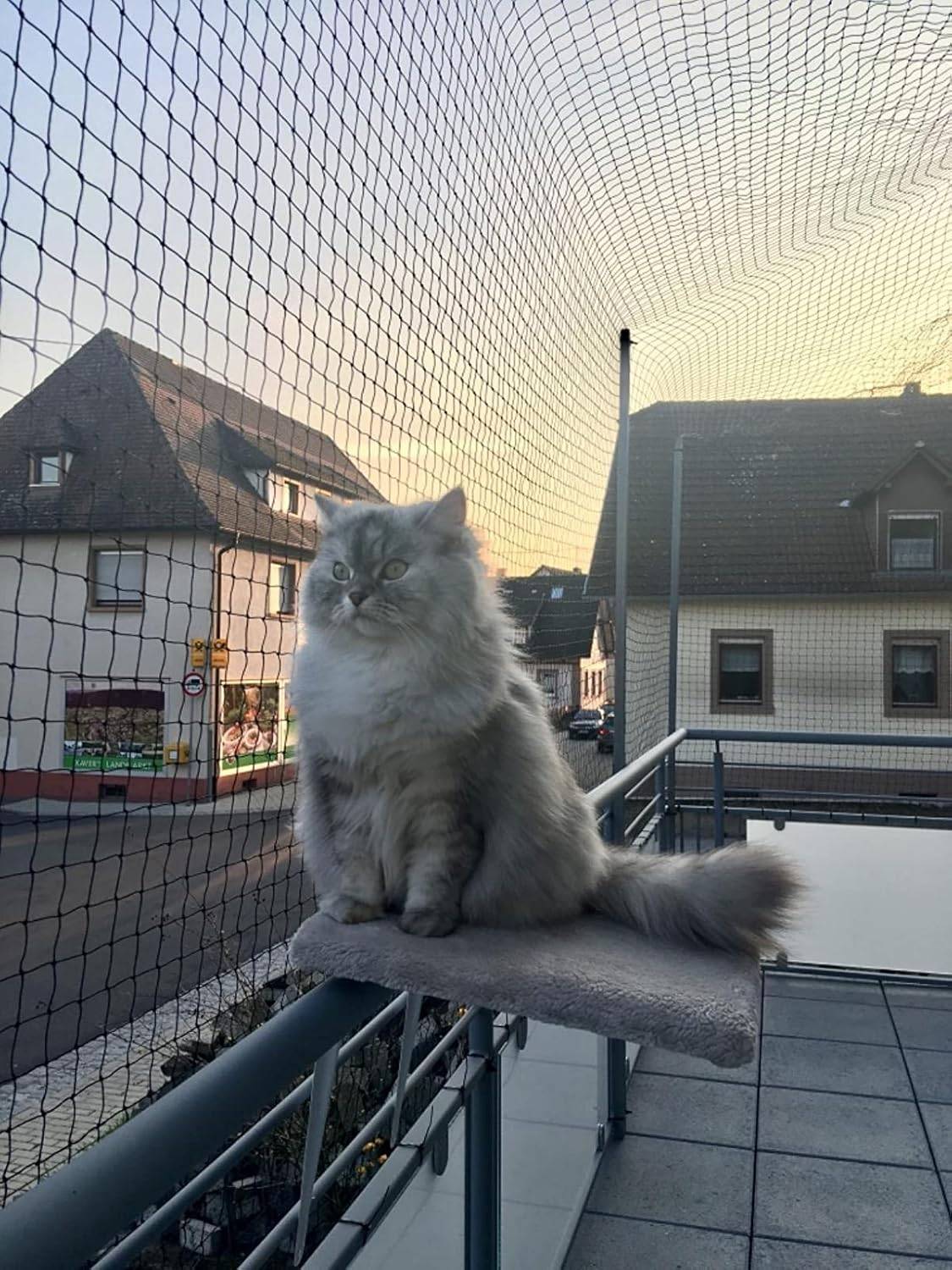 Filet de clôture anti-chute pour chat,filet de protection- 10x3m, Renforcé, Résistant aux Intempéries, Sécurise Balcon, Fenêtres et Terrasses-Lytech - Image 5