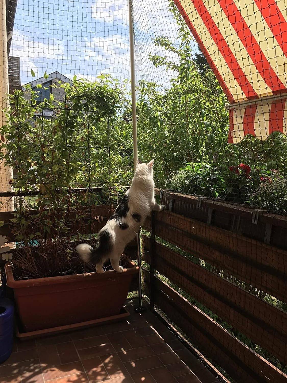 Filet de clôture anti-chute pour chat,filet de protection- 10x3m, Renforcé, Résistant aux Intempéries, Sécurise Balcon, Fenêtres et Terrasses-Lytech - Image 8