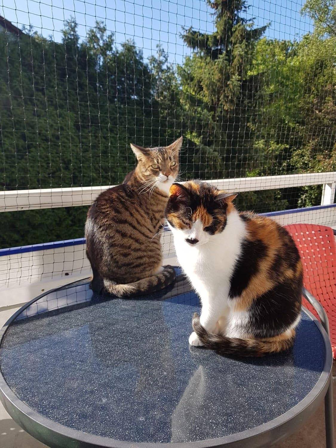 Filet de clôture anti-chute pour chat,filet de protection- 10x3m, Renforcé, Résistant aux Intempéries, Sécurise Balcon, Fenêtres et Terrasses-Lytech - Image 4