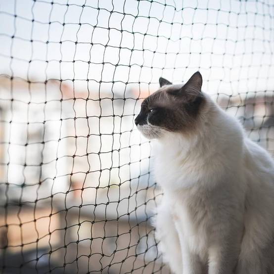 Filet de clôture anti-chute pour chat,filet de protection- 10x3m, Renforcé, Résistant aux Intempéries, Sécurise Balcon, Fenêtres et Terrasses-Lytech - Image 1