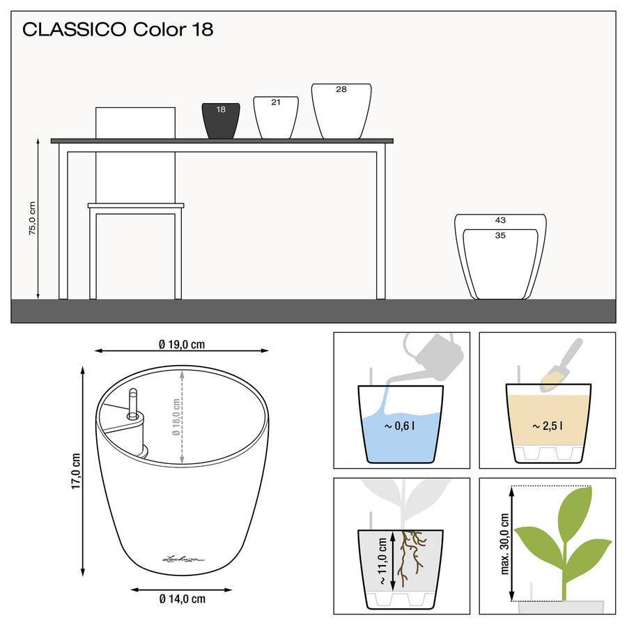 Lechuza - Classico Color 18 - 18x17 cm - kit complet, muscade Lechuza - Imagen 2