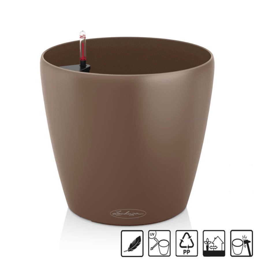 Lechuza - Classico Color 18 - 18x17 cm - kit complet, muscade Lechuza - Imagen 1