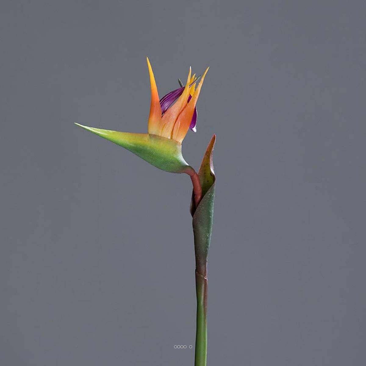 Artificielles - Strelitzia Arabica artificiel H 62 cm oiseau du paradis tête latex - Imagen 4