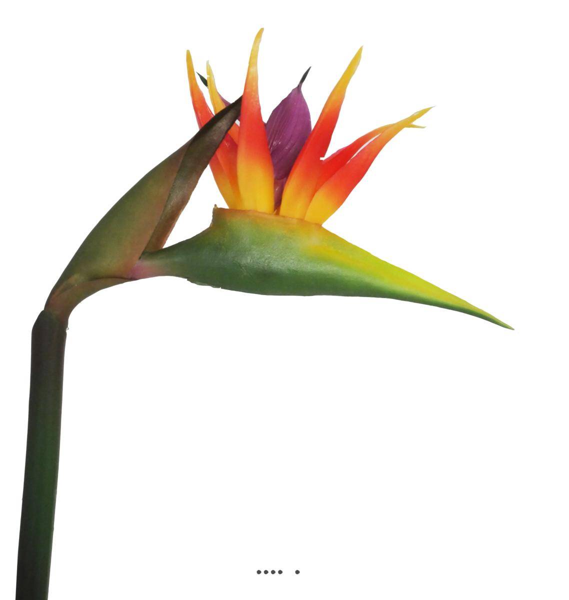 Artificielles - Strelitzia Arabica artificiel H 62 cm oiseau du paradis tête latex - Imagen 1