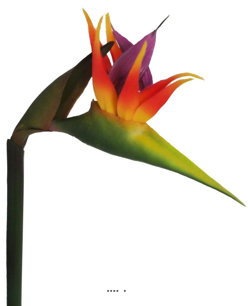 Artificielles - Strelitzia Arabica artificiel H 62 cm oiseau du paradis tête latex - Imagen 2