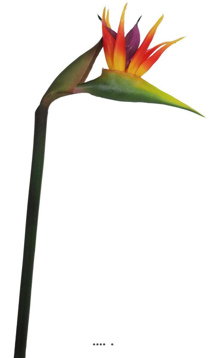Artificielles - Strelitzia Arabica artificiel H 62 cm oiseau du paradis tête latex - Imagen 3
