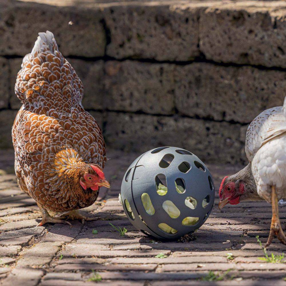 Greenlife By Biom Paris - Balle à friandises pour poules 15 cm - Imagen 2