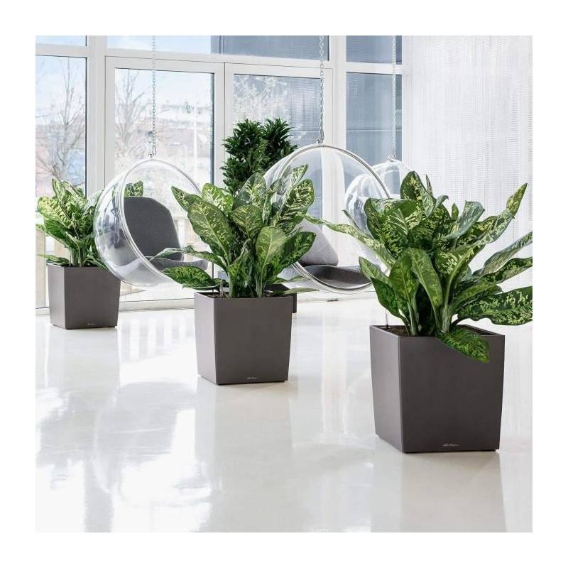 Lechuza - Pot De Fleur Lechuza Cube Premium 50 - Kit Complet, Taupe Brillant - Imagen 4