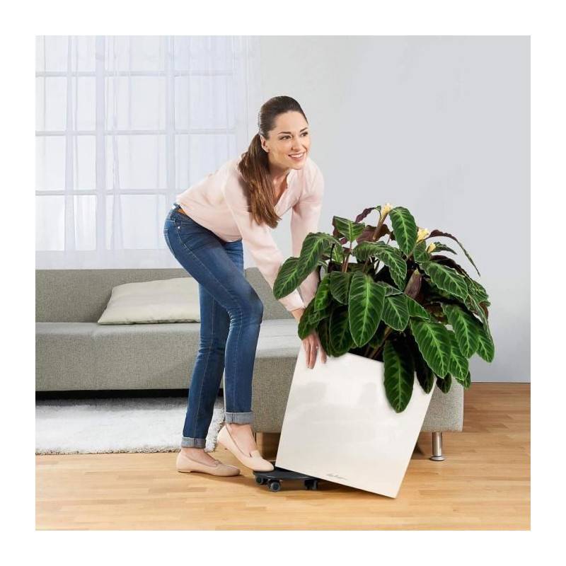 Lechuza - Pot De Fleur Lechuza Cube Premium 50 - Kit Complet, Taupe Brillant - Imagen 3